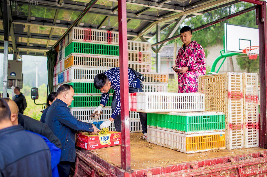 1555294740594053.jpg 微信圖片_20190415101305(1).jpg